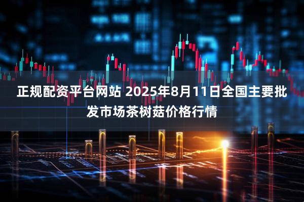 正规配资平台网站 2025年8月11日全国主要批发市场茶树菇价格行情