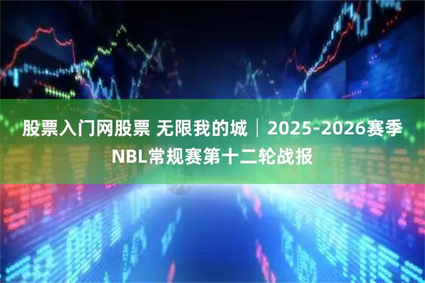 股票入门网股票 无限我的城│2025-2026赛季NBL常规赛第十二轮战报